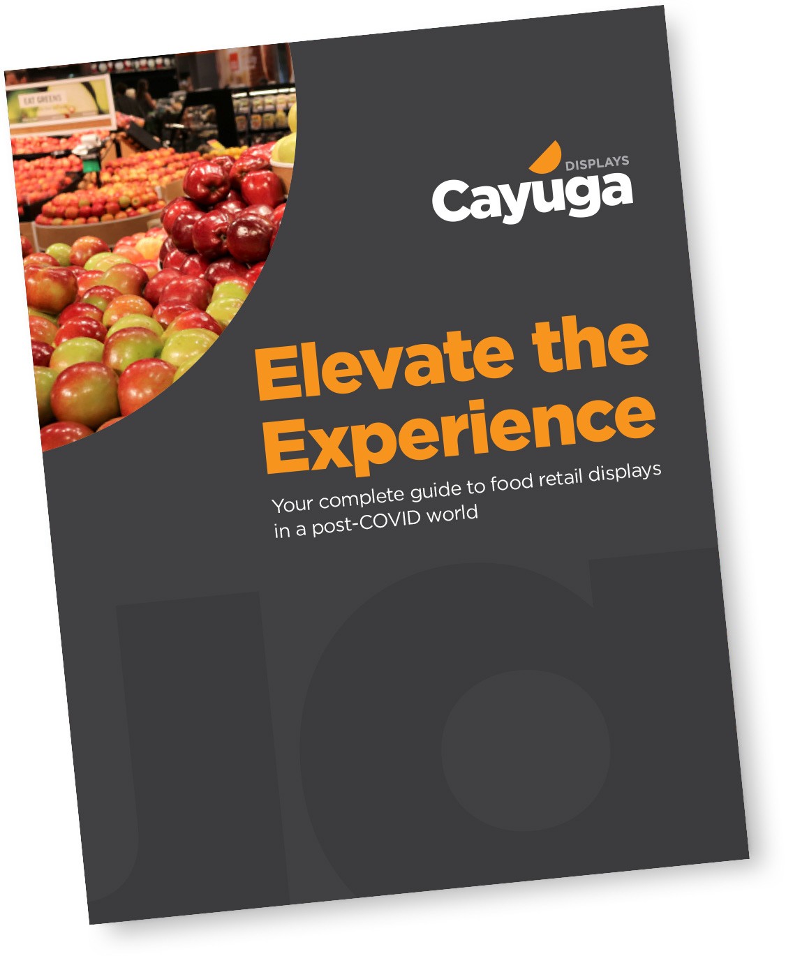 Elevate the Experience PDF